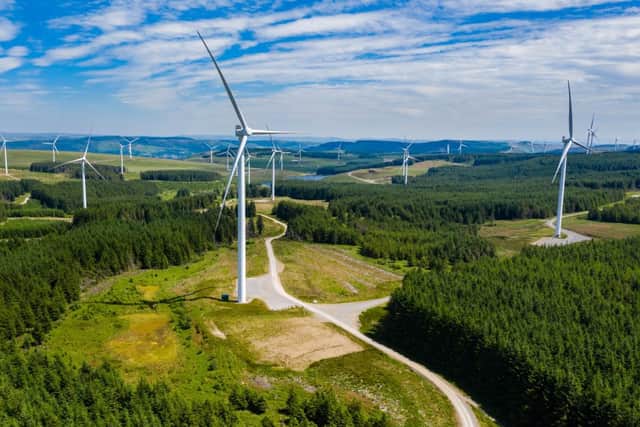 Wind turbines help to combat climate change (photo: Adobe)