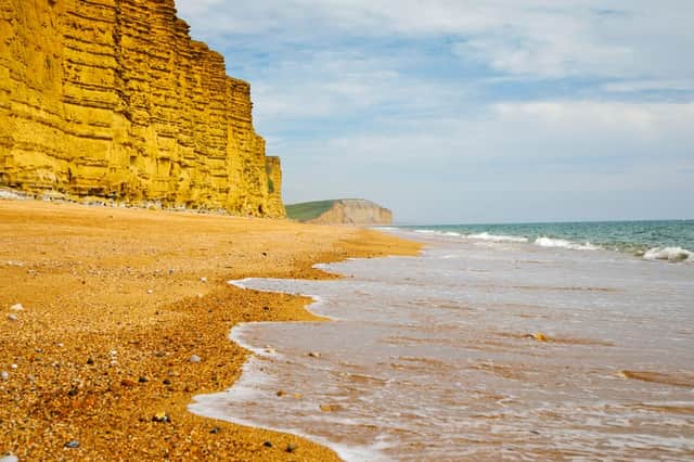 A huge landslide has taken place on the Jurassic Coast, with 4,000 tonnes of rock plummeting onto a beach in Dorset (Photo: Shutterstock)