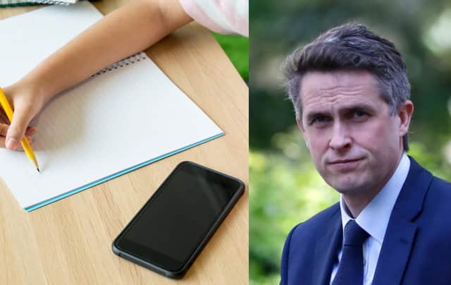 Mr Williamson said mobile phone distract from “exercise and good old-fashioned play” (Photo: Shutterstock/Getty Images)