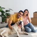 Moving in to a rented property with your pet in tow has become far easier - but it presents challenges for tenants and landlords