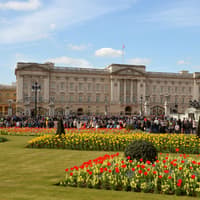 Big discount on fun sightseeing trips around London 'without rushing round' over half-term