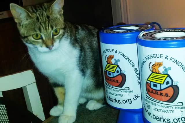 Rescue cat Daisy is pictured with some of the BARKS collecting tins