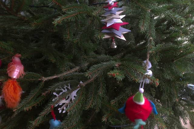 Residents can put their real Christmas trees out for collection via Cherwell District Councils brown bin service, which is used year-round for recycling food and garden waste.
