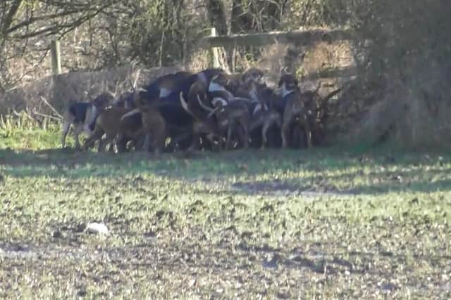 Photos from the West Midlands Hunt Saboteurs (WMHS).
