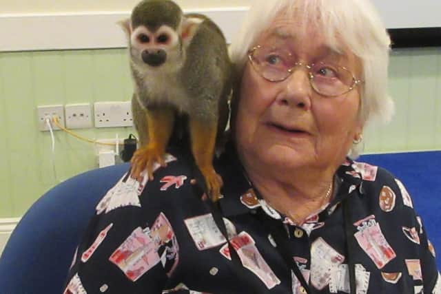This monkey made itself at home on a residents shoulder