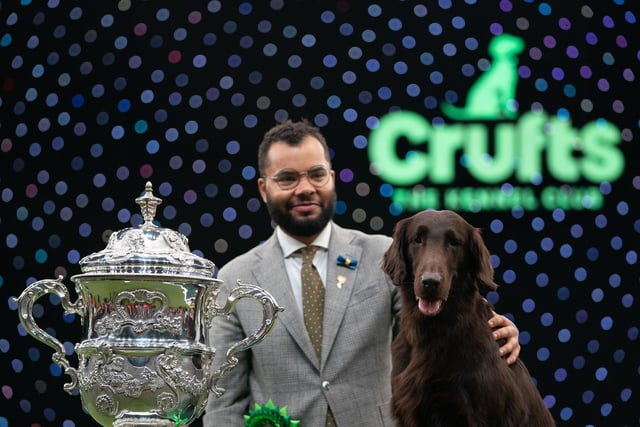 Baxer the Flat-Coated Retriever with handler Patrick Oware after winning Best in Show during the final day of the Crufts Dog Show on Sunday March 13
