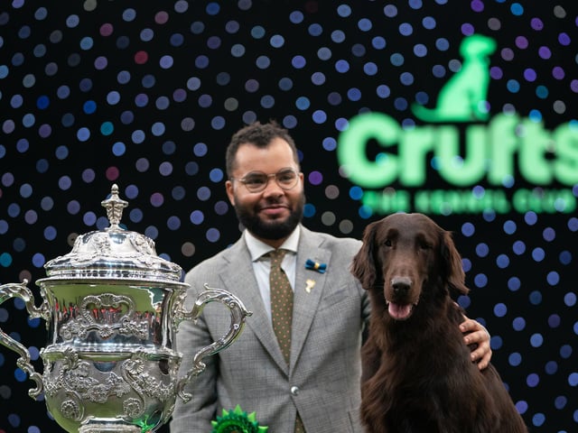 Baxer the Flat-Coated Retriever with handler Patrick Oware after winning Best in Show during the final day of the Crufts Dog Show on Sunday March 13