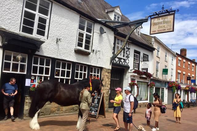 The Hook Norton Brewery brought out one of their horses to the Reindeer Inn pub today (Wednesday July 22) to interact with people as part of their way of appreciation for Dot and her family.