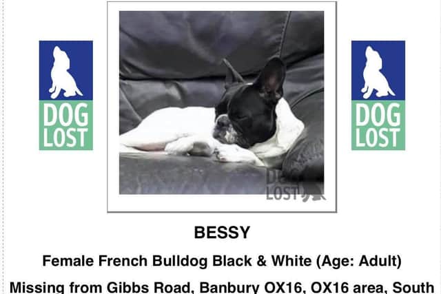 Missing poster for Bessie
