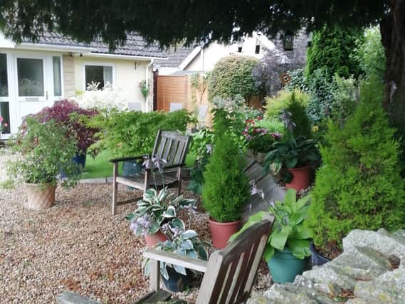Debbie Walton's beautiful and relaxing garden that was the winner of King's Sutton in Bloom
