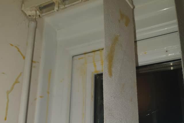 Mess and damages caused by eggs thrown at a Banbury home