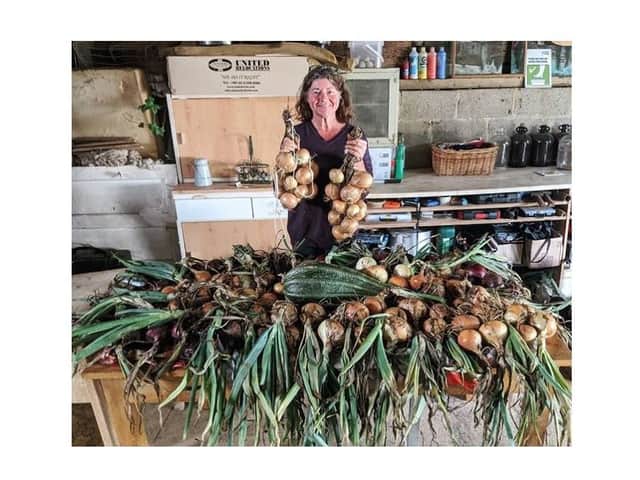 Sue Sabin at her Suneday Smallholding - with plenty of onions!