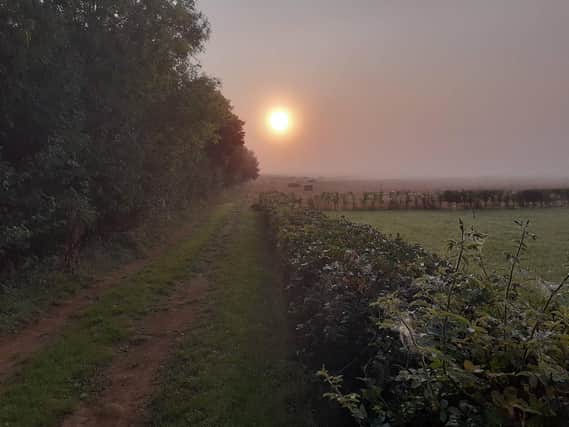 Photo titled 'The Season of Mists and Mellow Fruitfulness.' by Banbury resident and Cllr Kieron Mallon
