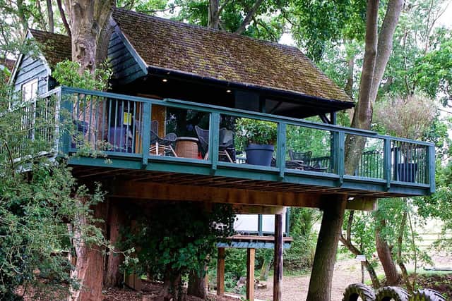 Will's Treehouse.