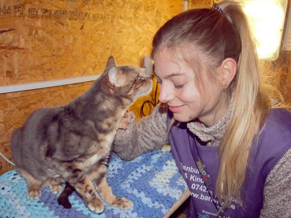 BARKS committee members Jo Allen with nine-year old Bengal cat, Blue