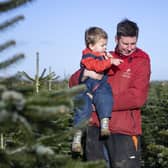 The new owners of Perry Tree Farm say they just want to grow Christmas trees