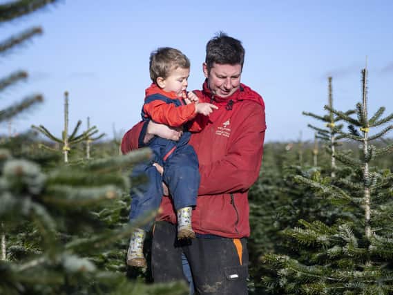The new owners of Perry Tree Farm say they just want to grow Christmas trees