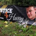 Harry's family launched their campaign following his death in August 2019