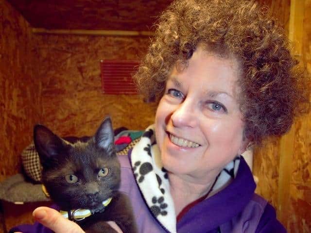 BARKS charity chair Ann Collins with a kitten on its way to a new home (photo from BARKS charity)