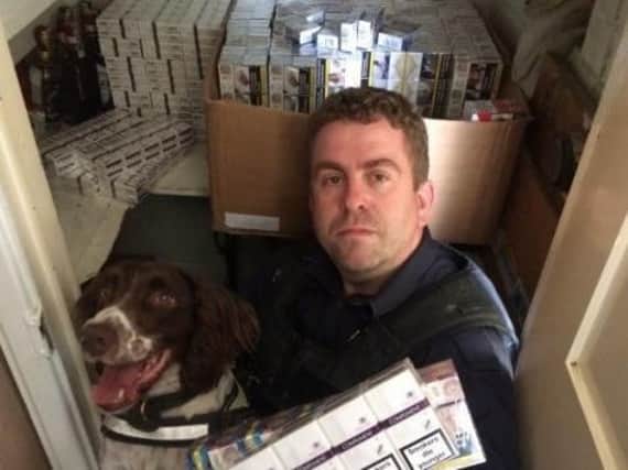 Dog handler Stuart Phillips of BWY Canine Ltd and tobacco detection dog Scamp, with illegal cigarettes found at the home address