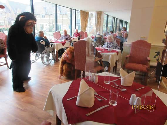 Lunchtime at Godswell was rather different with staff in animal costumes