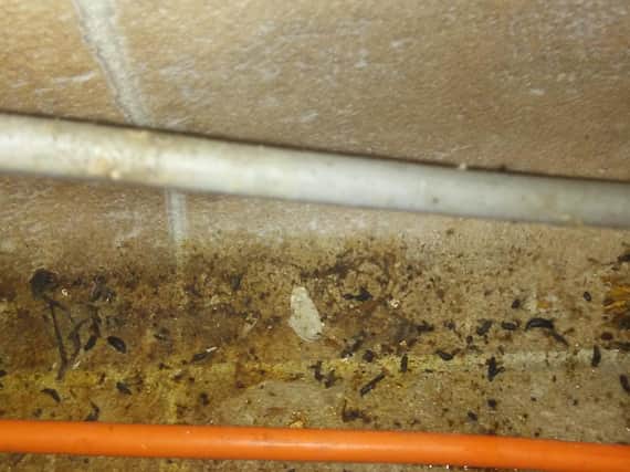 A Banbury takeaway where a mouse infestation was discovered has pleaded guilty to a series of serious food hygiene offences. (Image from Cherwell District Council)