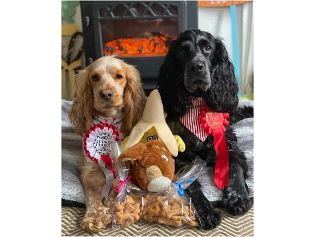 Peaches (at left) was voted 'Best in show' at the dog show hosted by Highmarket House Care Home, on North Bar Place, Banbury