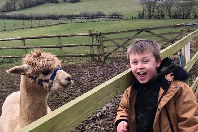 Charlie Hiner meets Charlie the alpaca for the first time