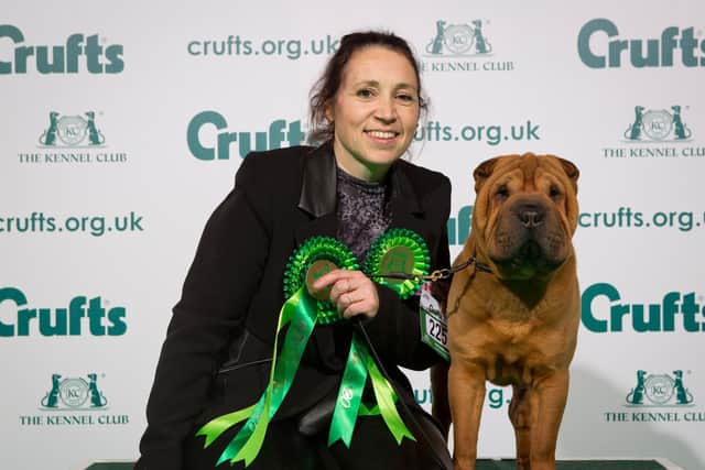 Carlos, a15-month-old Shar-Pei, who belongs to Sandra Grimshaw from Brackley