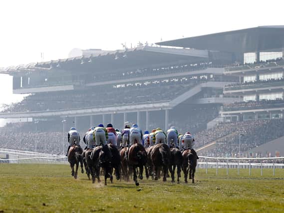 The final day of the Cheltenham Festival provided Mollington trainer Paul Webber with his first winner