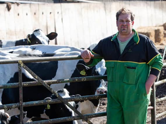 Farmer Ben Coles and some of the 200 herd of dairy cows whose milk is being poured away because of the coronavirus restrictions