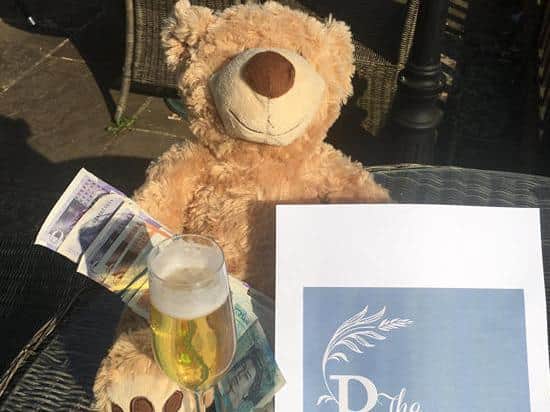 A teddy bear at the Pickled Ploughman pub next to some the cash raised during the pub's fundraiser