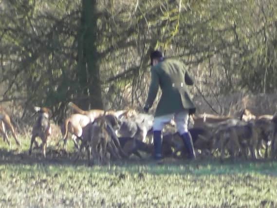A photo by the West Midlands Saboteurs this spring which they allege was of a fox being killed by hounds of the Warwickshire Hunt.