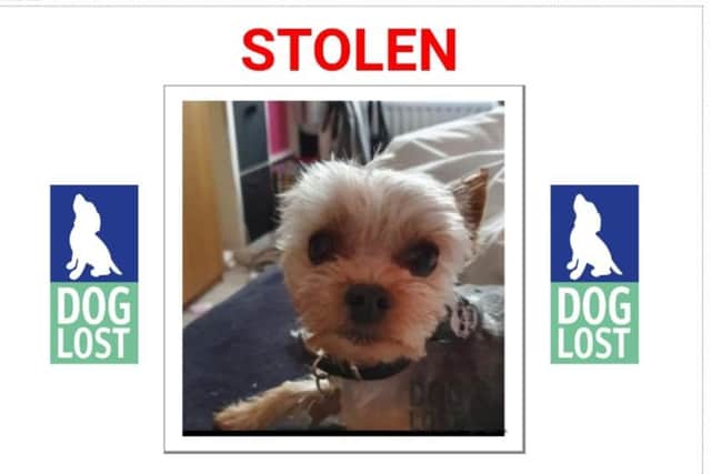 Part of the stolen dog posted created with from the DogLost group