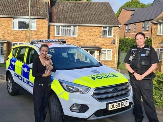 Thames Valley Police officers returned 'Bentley' the Yorkshire terrier to his owner this morning (photo from TVP Cherwell social media)