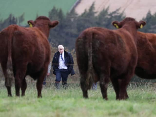 Boris Johnson visits a farm. Some are concerned that future trade deals may allow imports of a low quality than food produced by British farmers. Picture by Getty