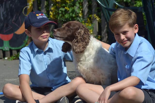 Two pupils from St John's Priory School in Banbury town with the school's well-being dog, Cookie (photo from St John's Priory School)