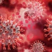 A magnified picture of the Covid-19 virus