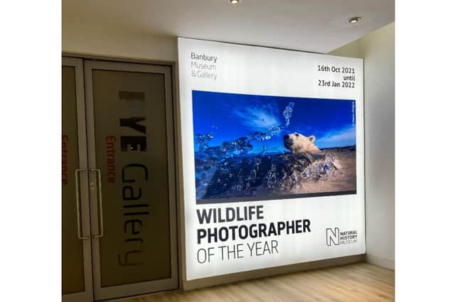The Wildlife Photographer of the Year has arrived at the Banbury Museum & Gallery this month.