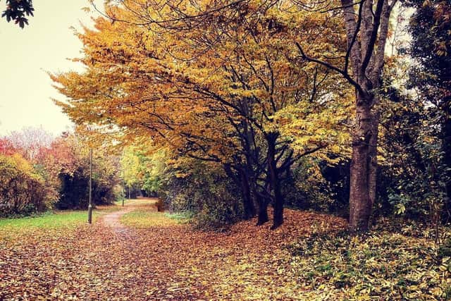 Grimsbury, Banbury autumn 2021 (Photo by Rodriguez-Past)