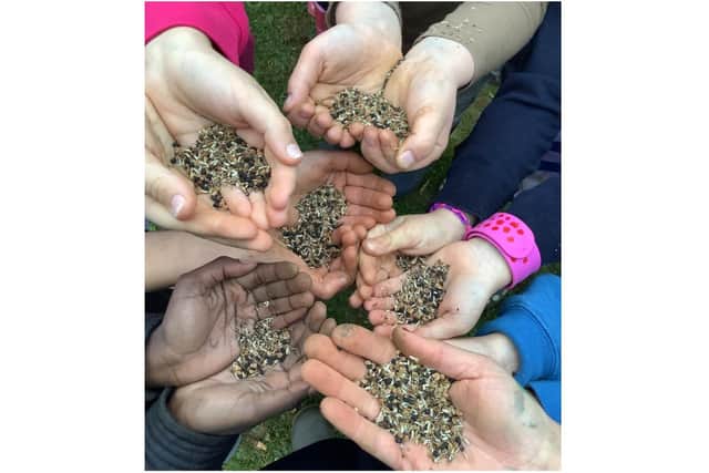 Hands from pupils at Harriers Academy hold seeds as part of eco initiatives launched at the school this term (Submitted photo)