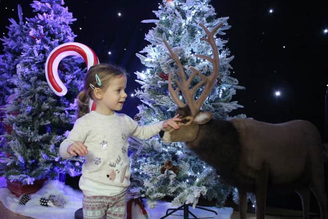 Banbury area children will soon be able to meet Santa and his elves at a newly created enchanted land inside the town centre's Castle Quay. (Submitted photo)