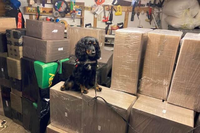 Sniffer dog Mostyn and the record haul of illicit cigarettes seized by Oxfordshire County Council in a joint operation with Thames Valley Police (Image from Oxfordshire County Council)