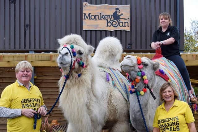 Monkey Bean Cafe owner Anna Pearce on the camel with Joseph and Rebecca Fossett stood either side of her. (photo by Helen Dubber)