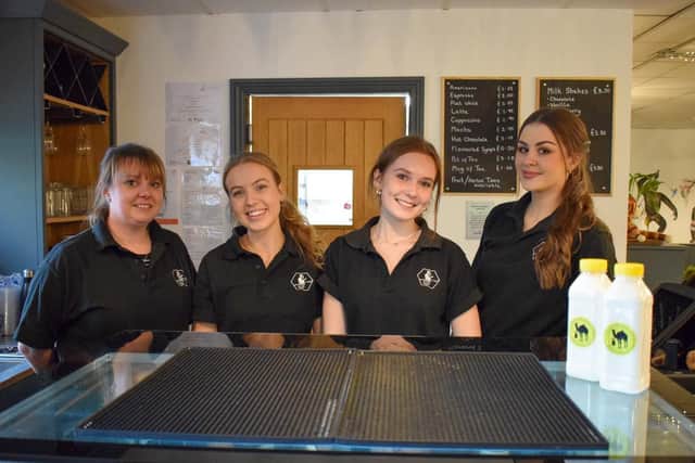 The Monkey Bean café near Banbury has brought a touch of exotica to its menu by adding camel milk as an alternative to cow’s milk. (photo by Helen Dubber)