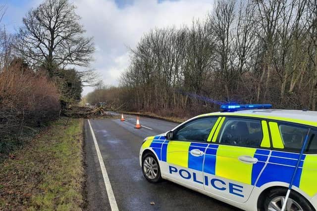 Farmers and helped the authorities clear away this fallen tree on the A4100 near Bicester (photo from TVP Bicester Tweet)