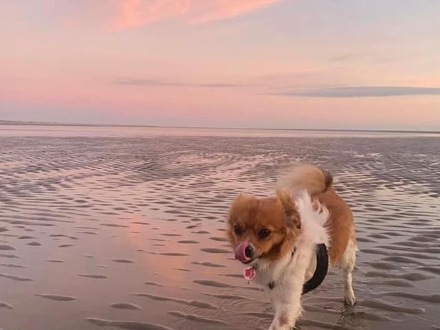 Submitted by Marianne Byrne.