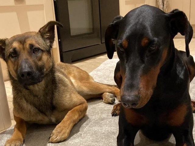 Mali and Marmite, submitted by Abbie Smith.