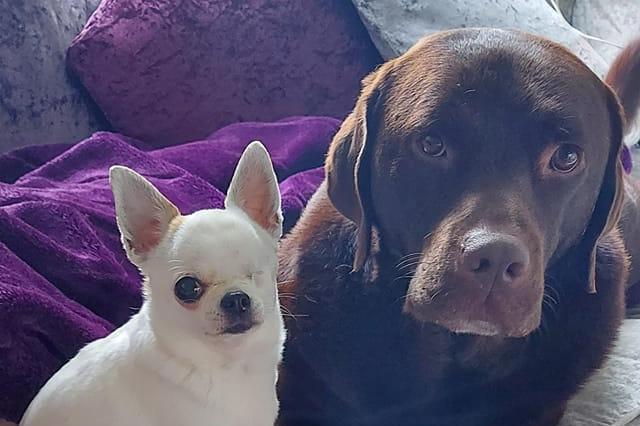 Submitted by Dotty Watson.