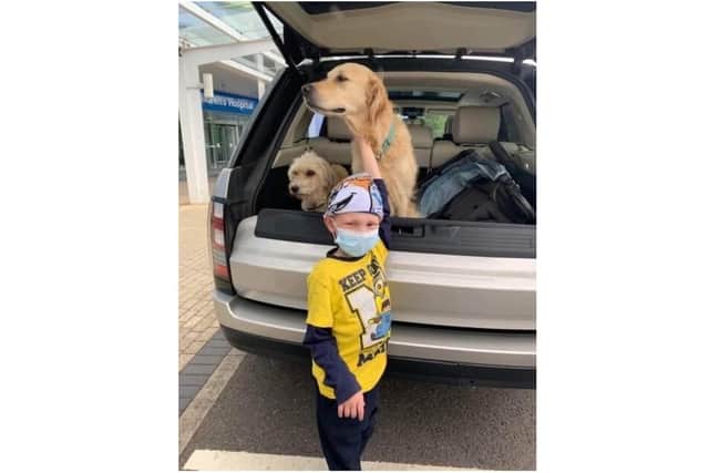 Freddie Croft, aged eight, with some of the family dogs. A team of six people are taking on the London Marathon this year to raise money for Freddie's Future, a special fund within the Bone Cancer Research Trust. (photo from the Freddie's Future website)